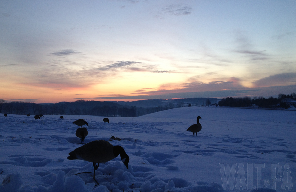 Goose Hunting - Dec 21 2013 - 1